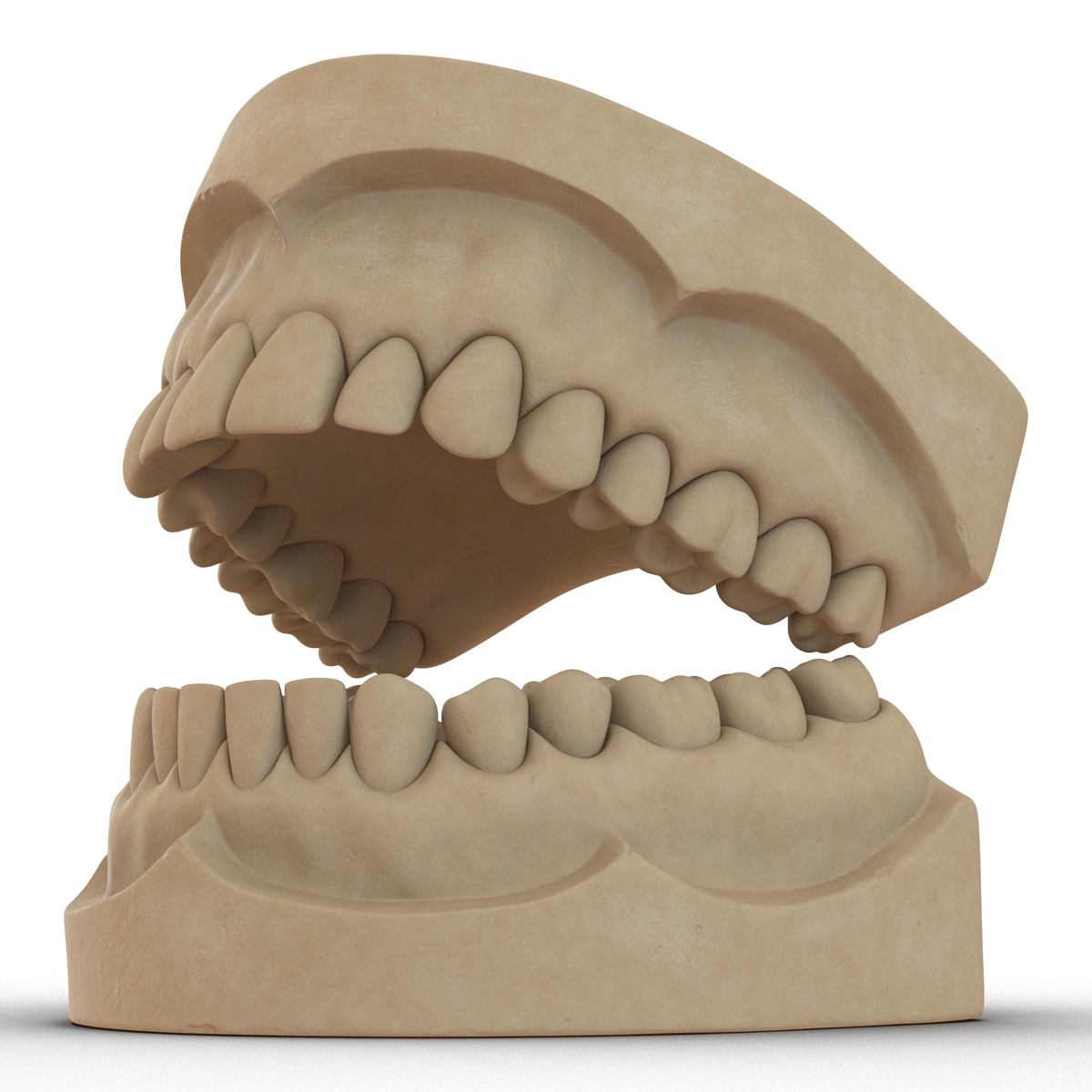 3D Dental Mold