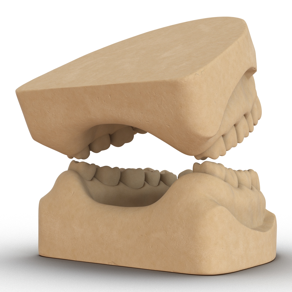 3D Dental Mold