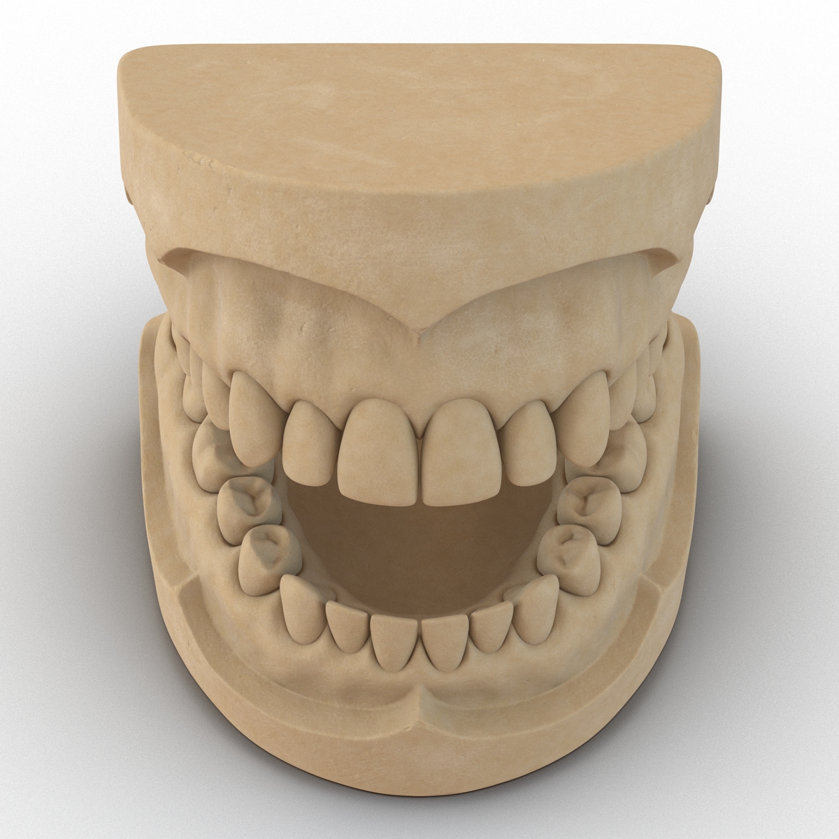 3D Dental Mold