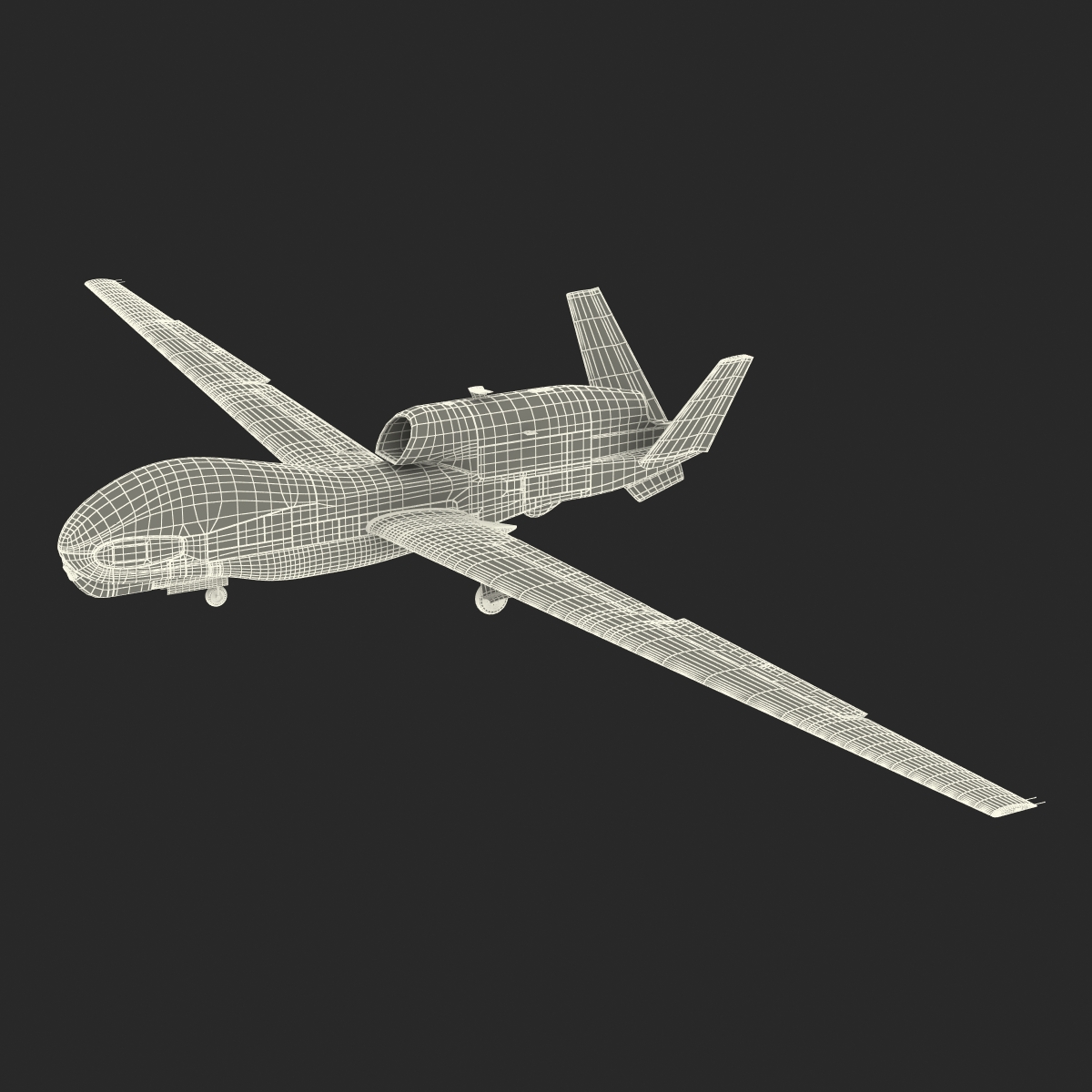 RQ 4 Global Hawk UAV Rigged 3D