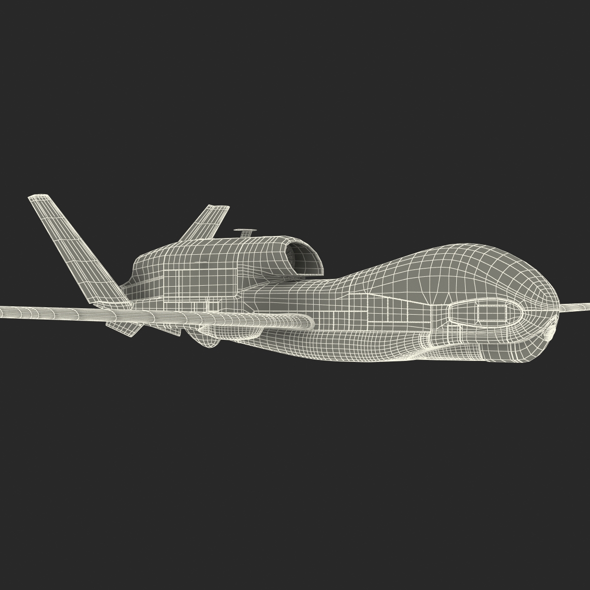 RQ 4 Global Hawk UAV Rigged 3D