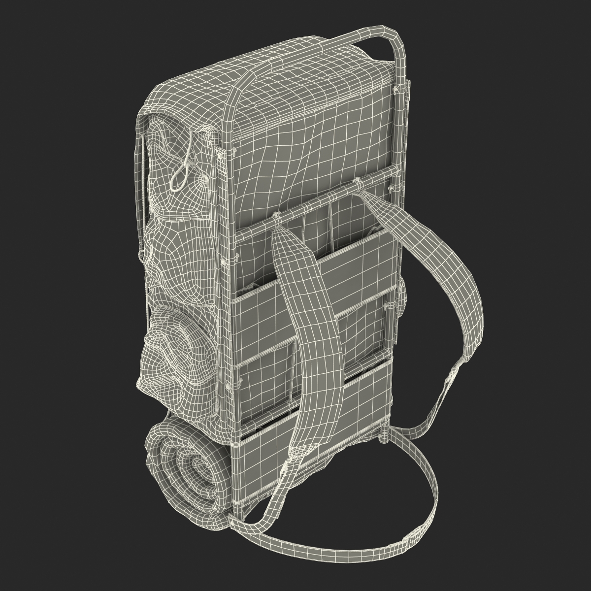 3D Camping Backpack