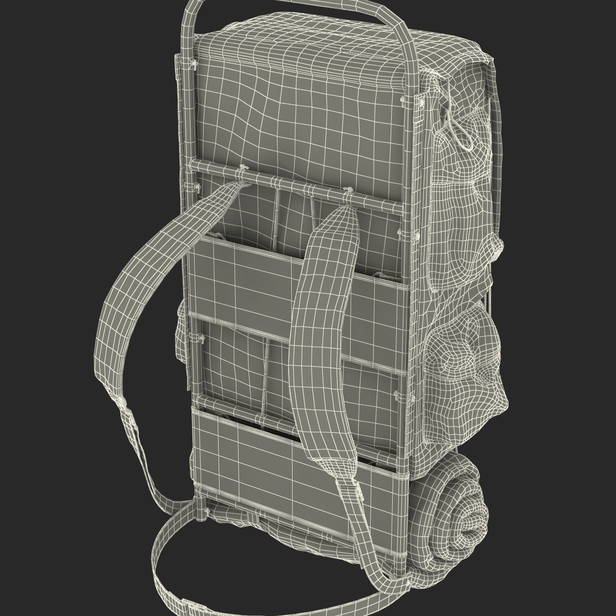 3D Camping Backpack