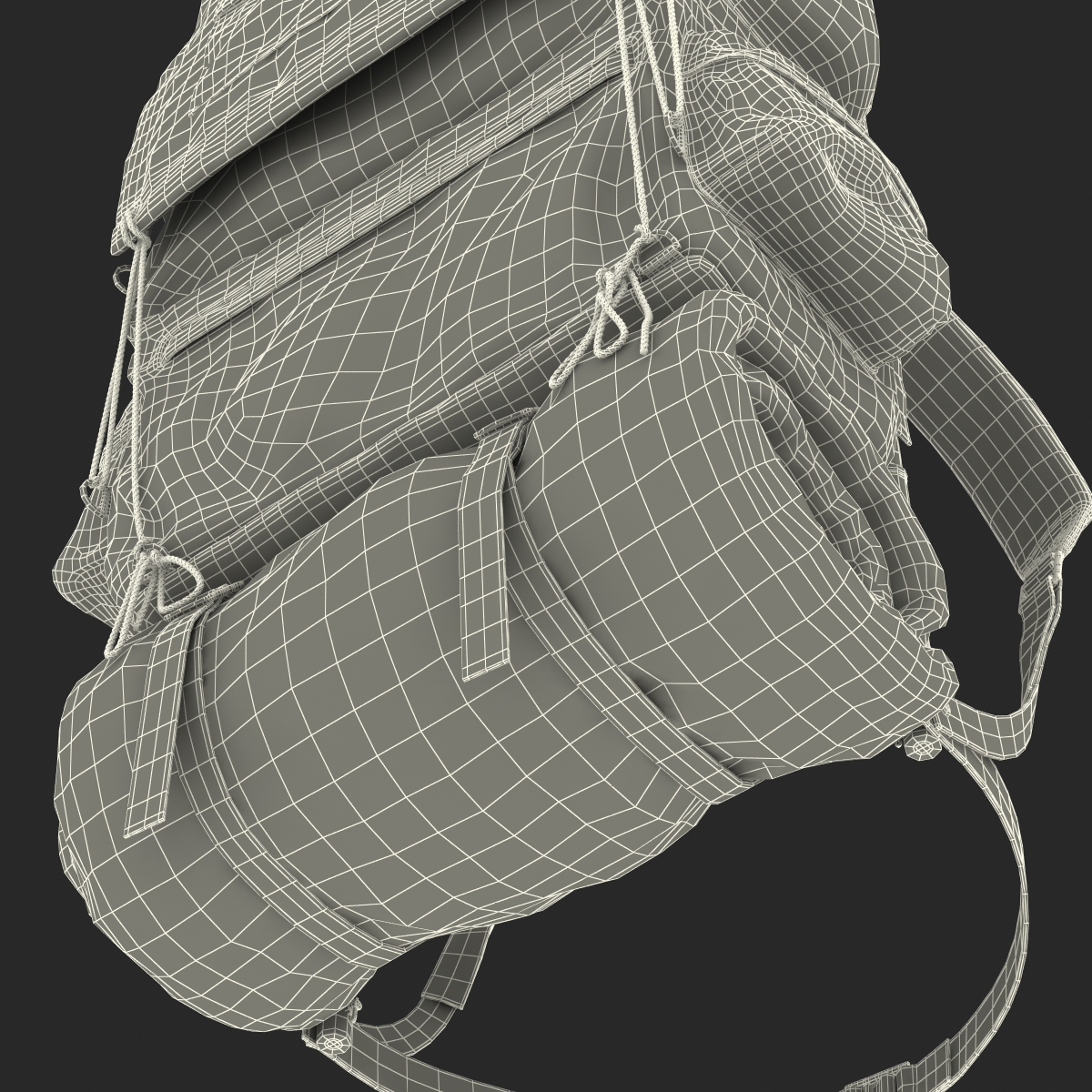 3D Camping Backpack