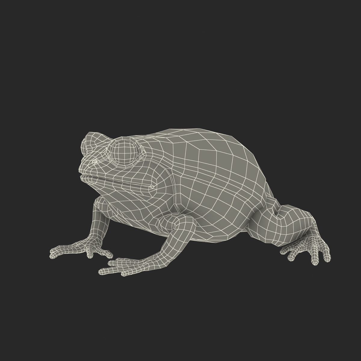 3D Tomato Frog Pose 2 model