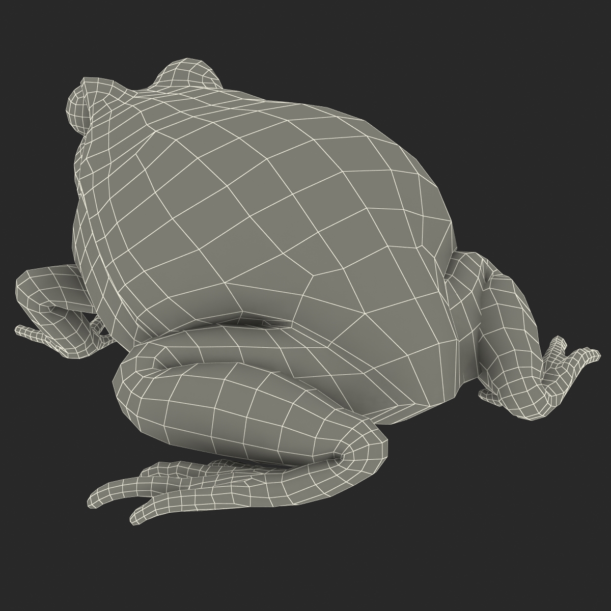 3D Tomato Frog Pose 2 model