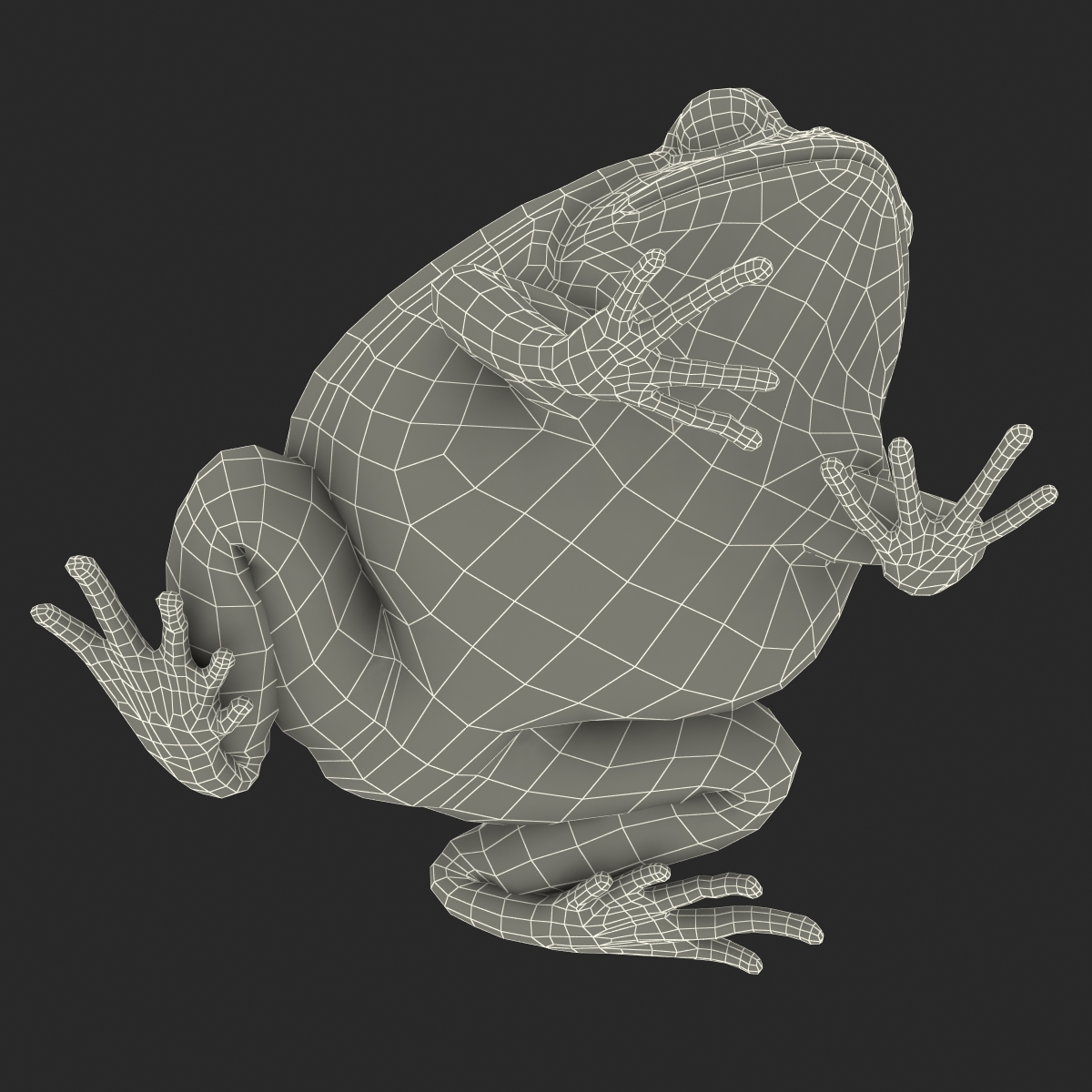 3D Tomato Frog Pose 2 model