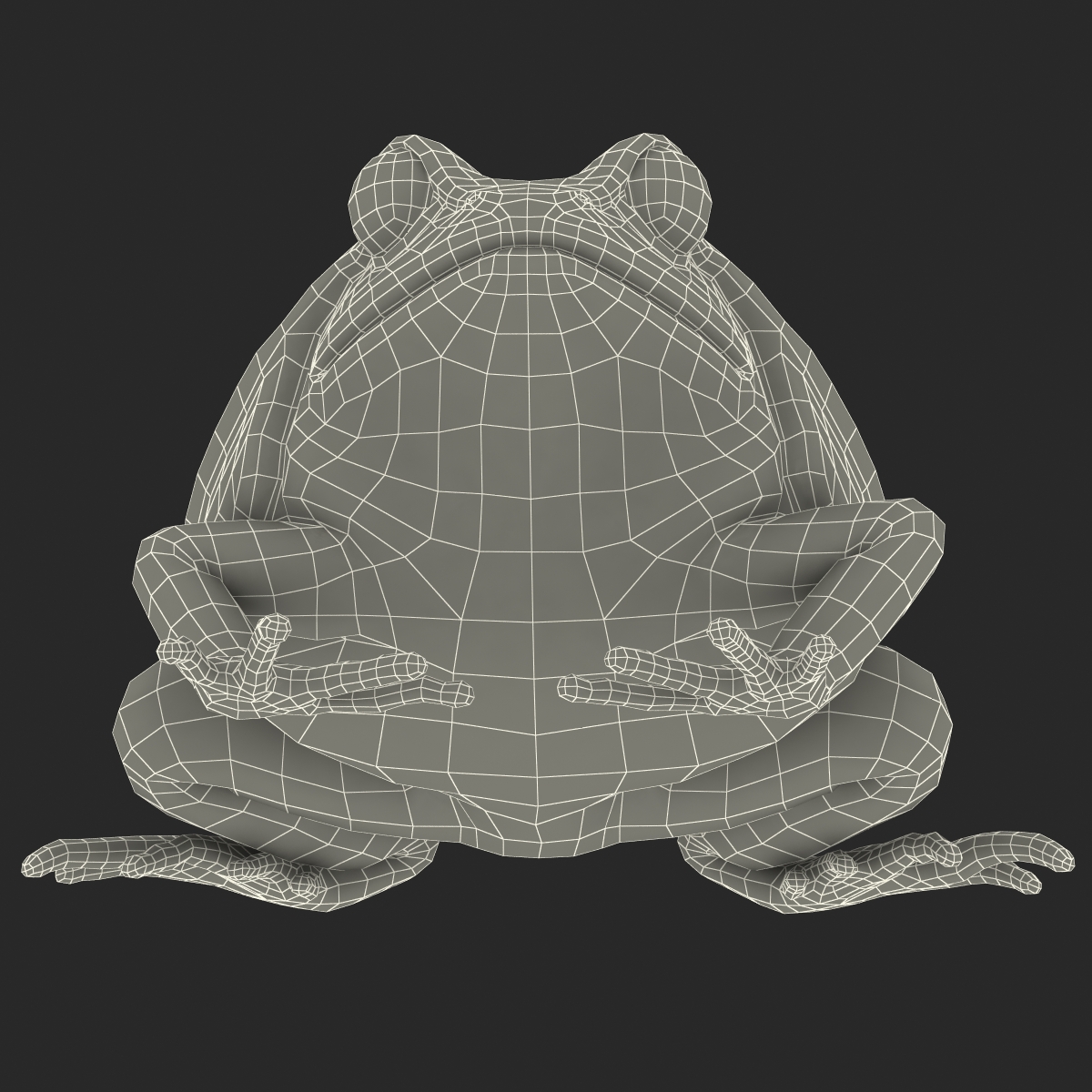 3D Tomato Frog Pose 2 model