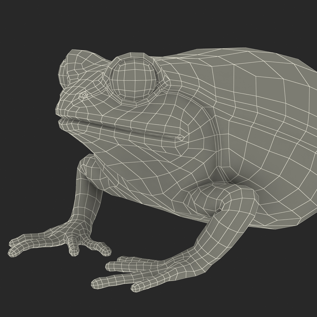 3D Tomato Frog Pose 2 model