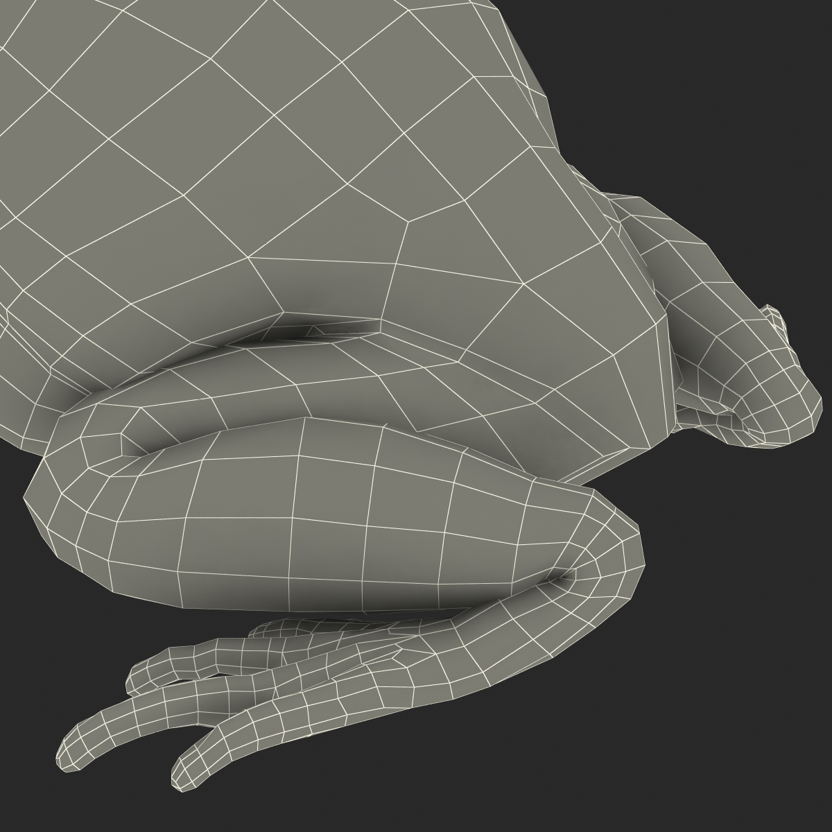 3D Tomato Frog Pose 2 model