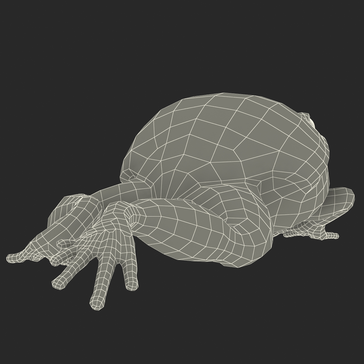 3D Tomato Frog Pose 3 model