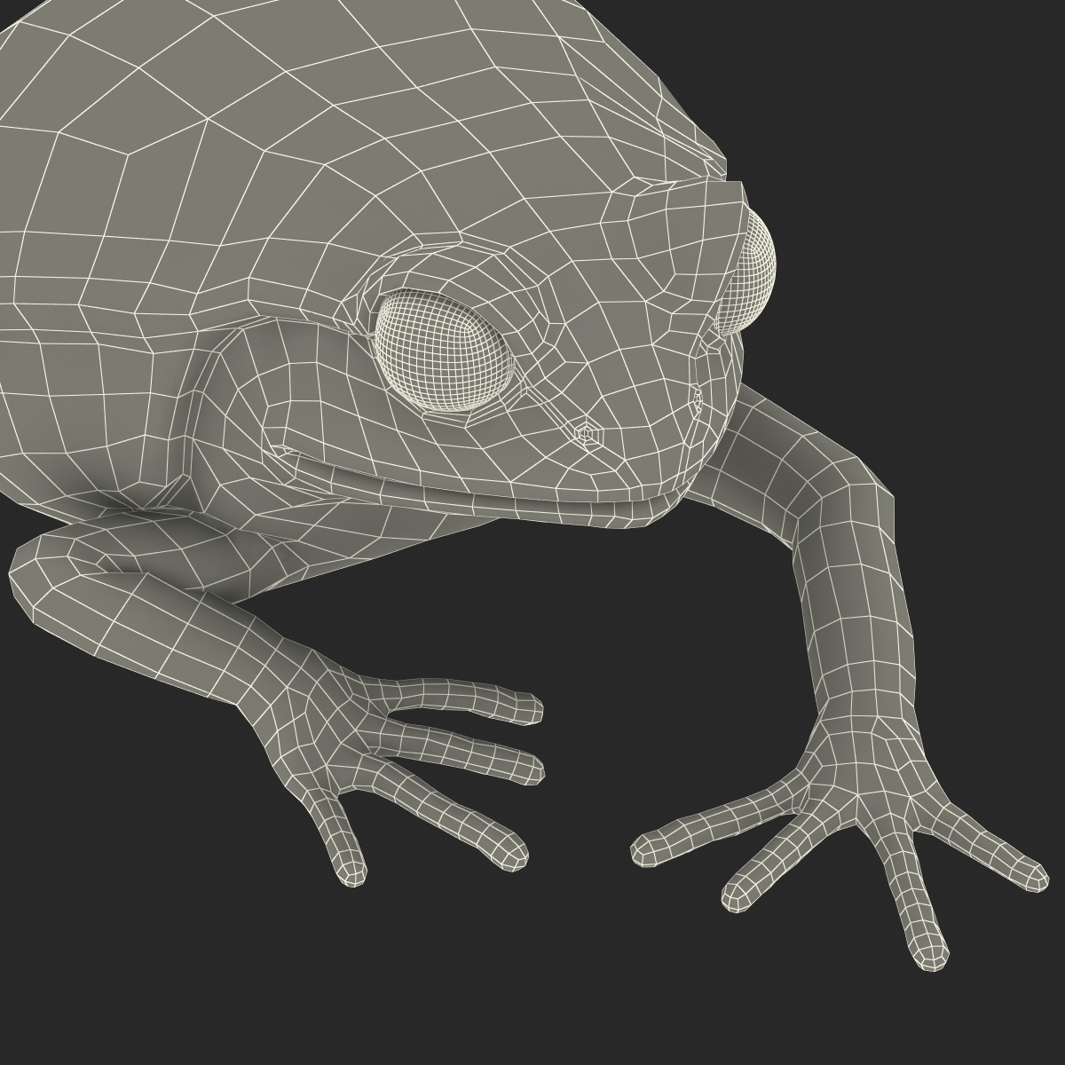 3D Tomato Frog Pose 3 model