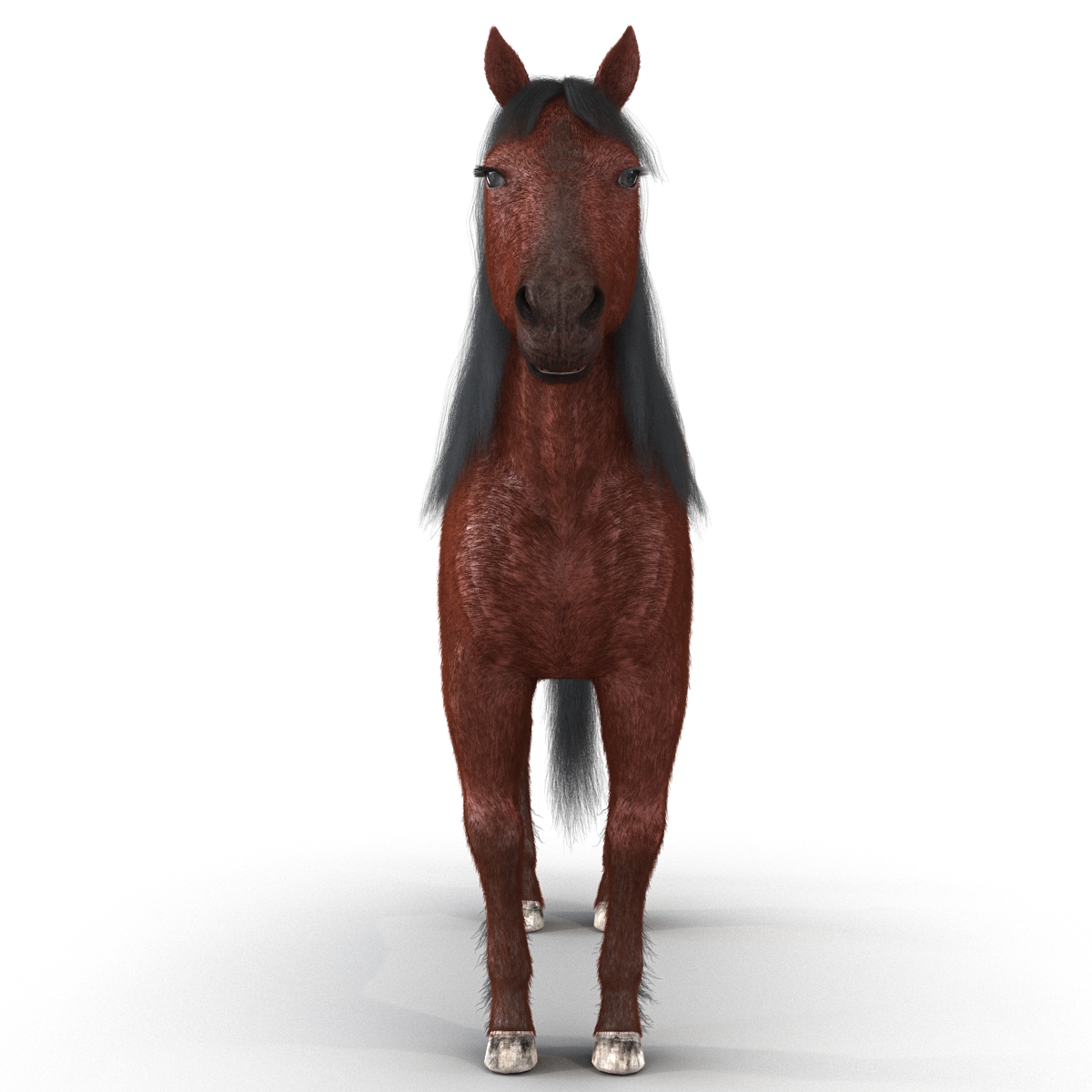 3D Horse with Fur 2