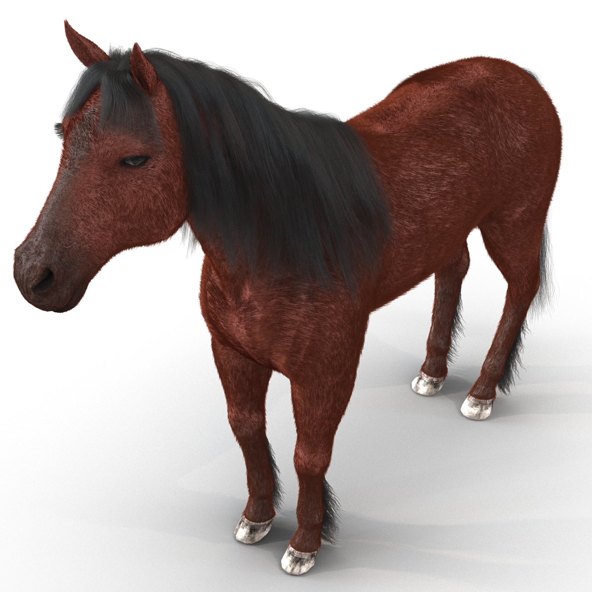 3D Horse with Fur 2