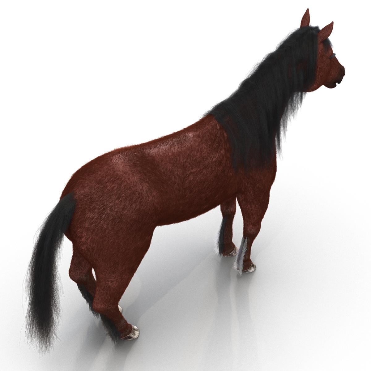 3D Horse with Fur 2