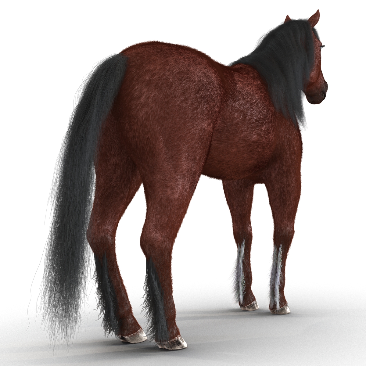 3D Horse with Fur 2