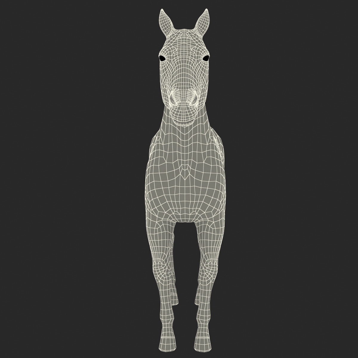 3D Horse with Fur 2