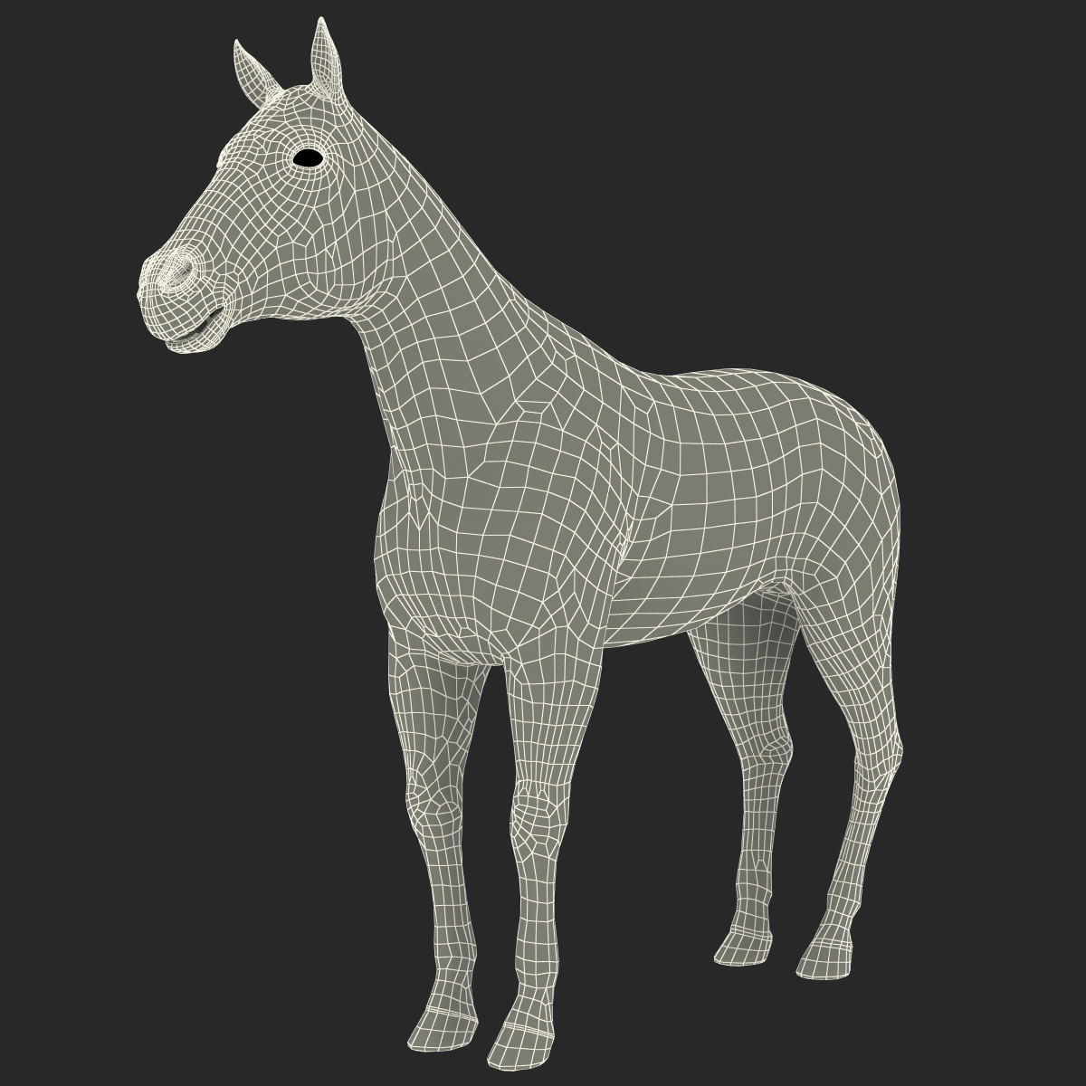 3D Horse with Fur 2