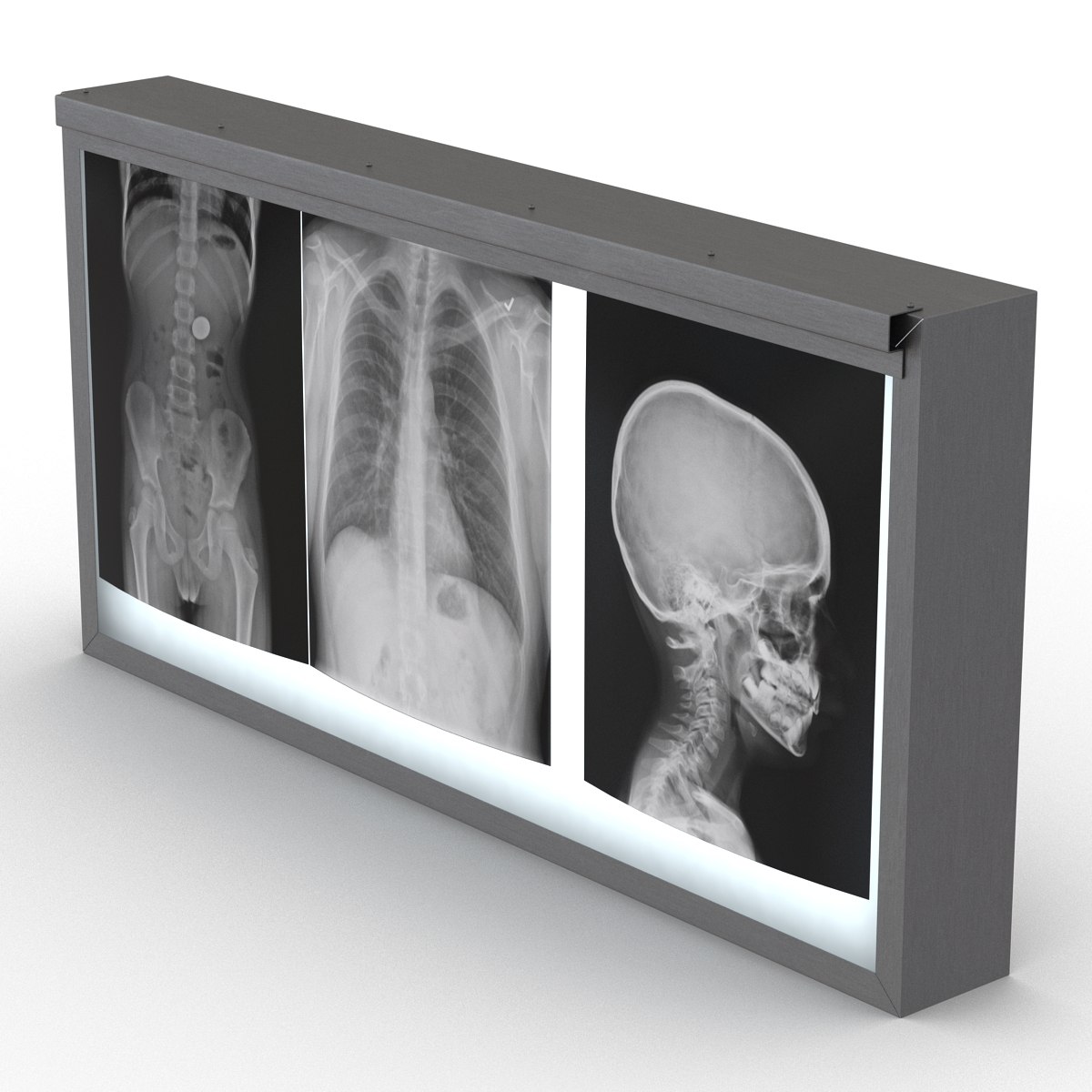 XRay Light Box 3D model