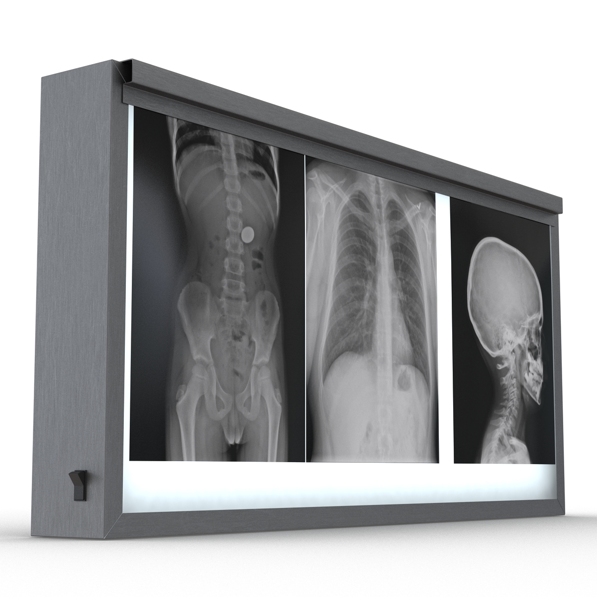 XRay Light Box 3D model