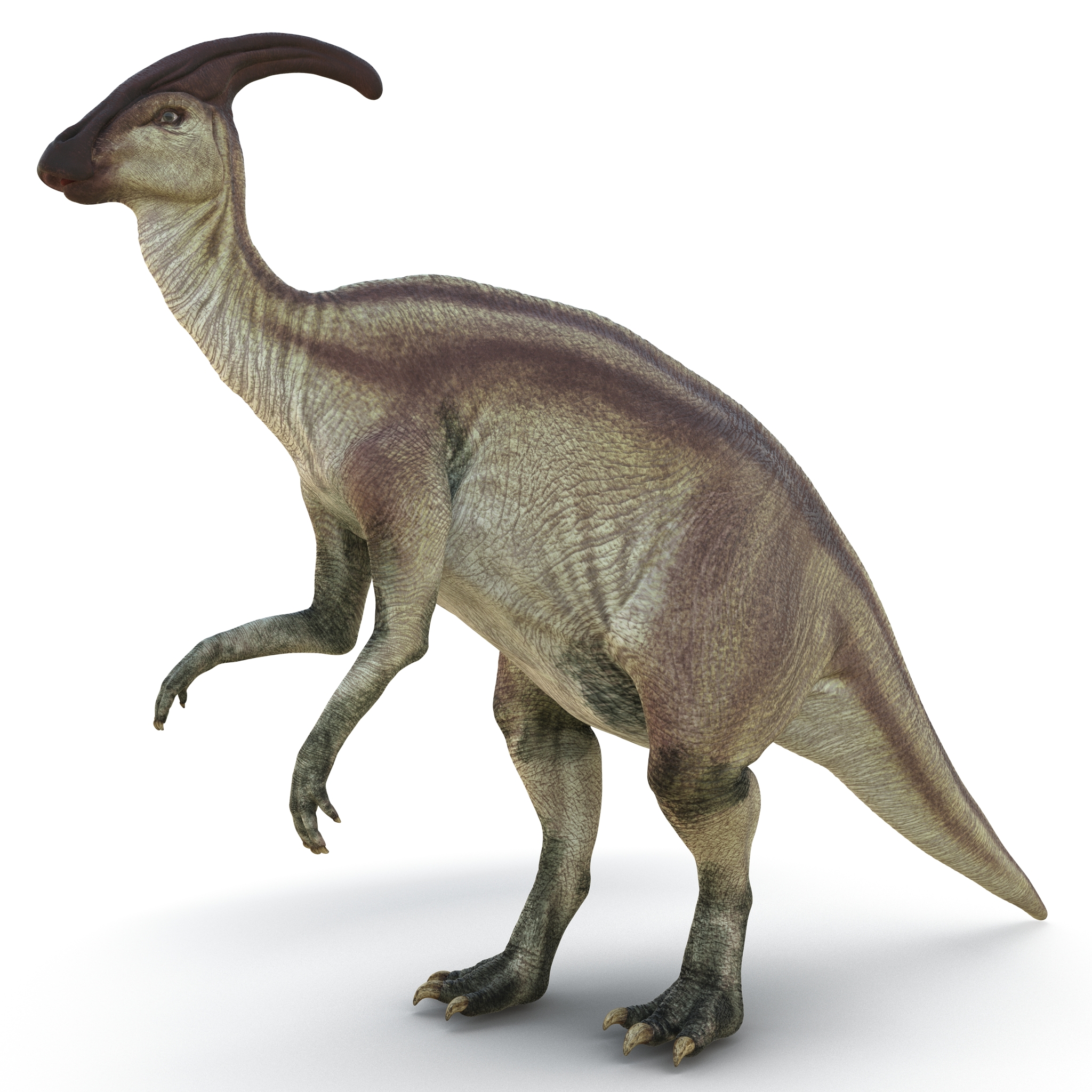 Parasaurolophus Pose 4 3D