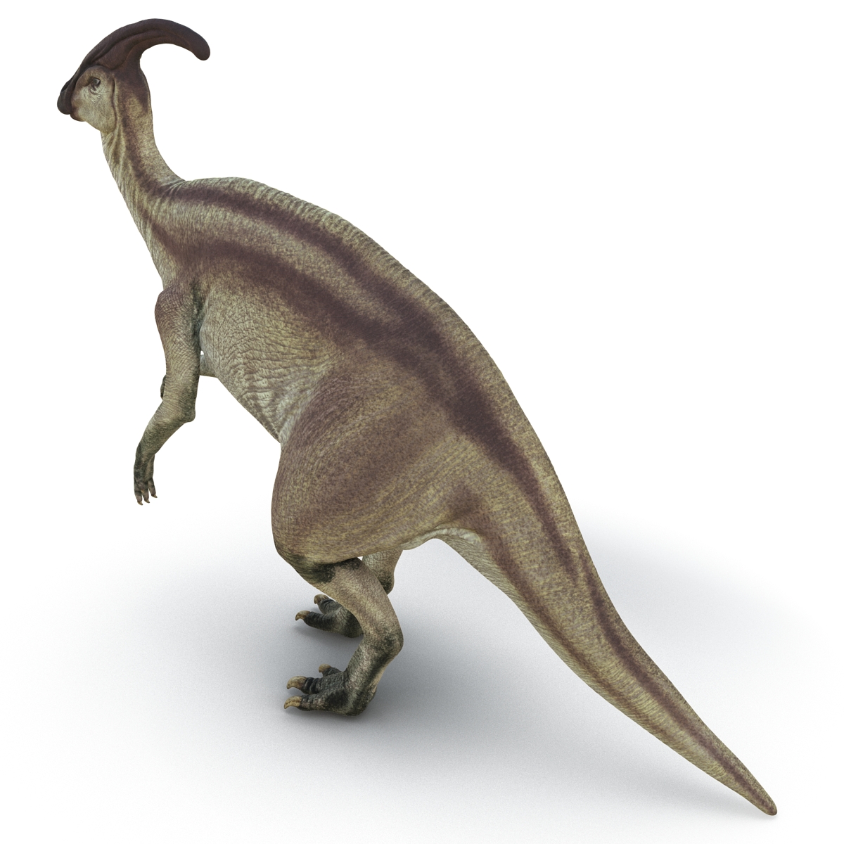 Parasaurolophus Pose 4 3D