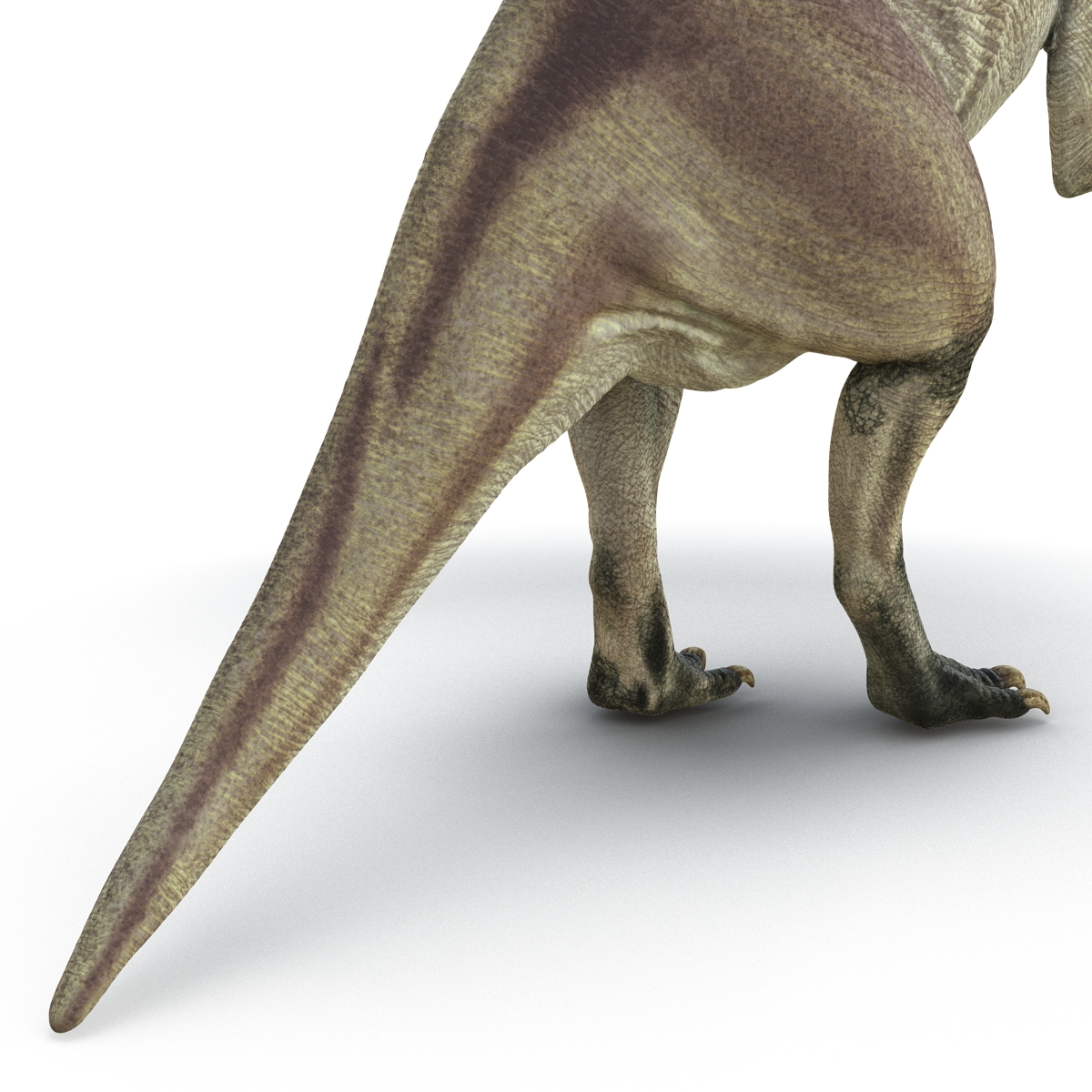 Parasaurolophus Pose 4 3D