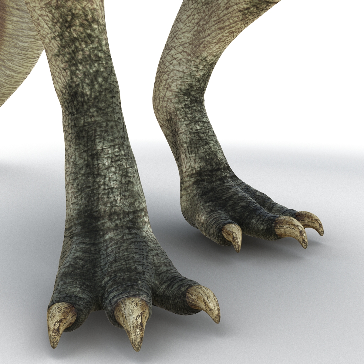 Parasaurolophus Pose 4 3D