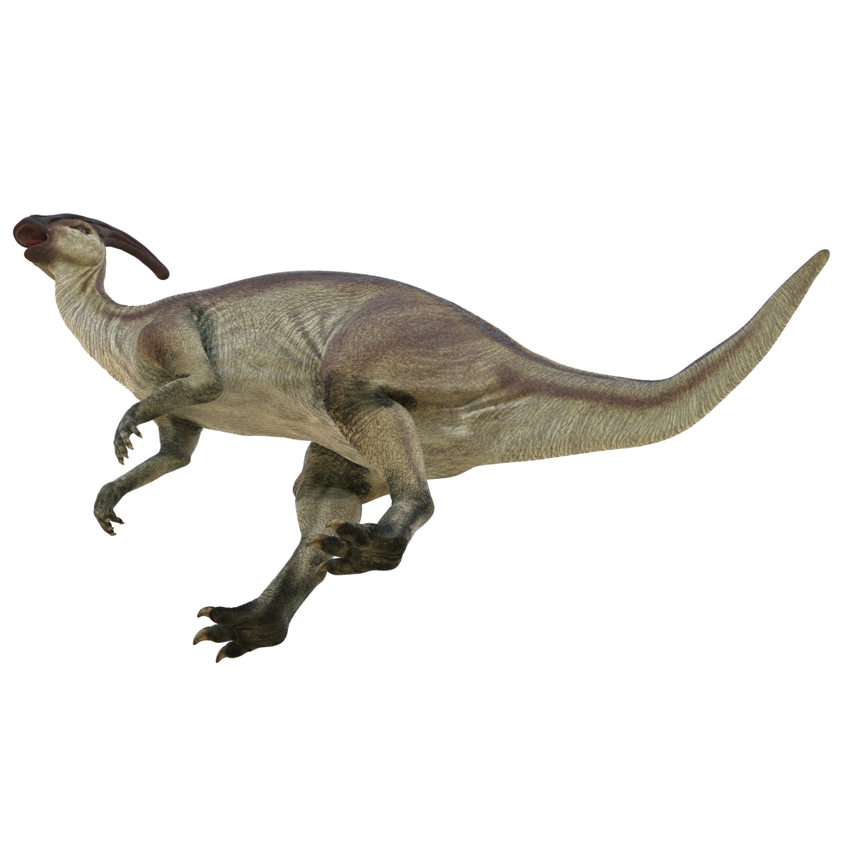 Parasaurolophus Pose 2 3D