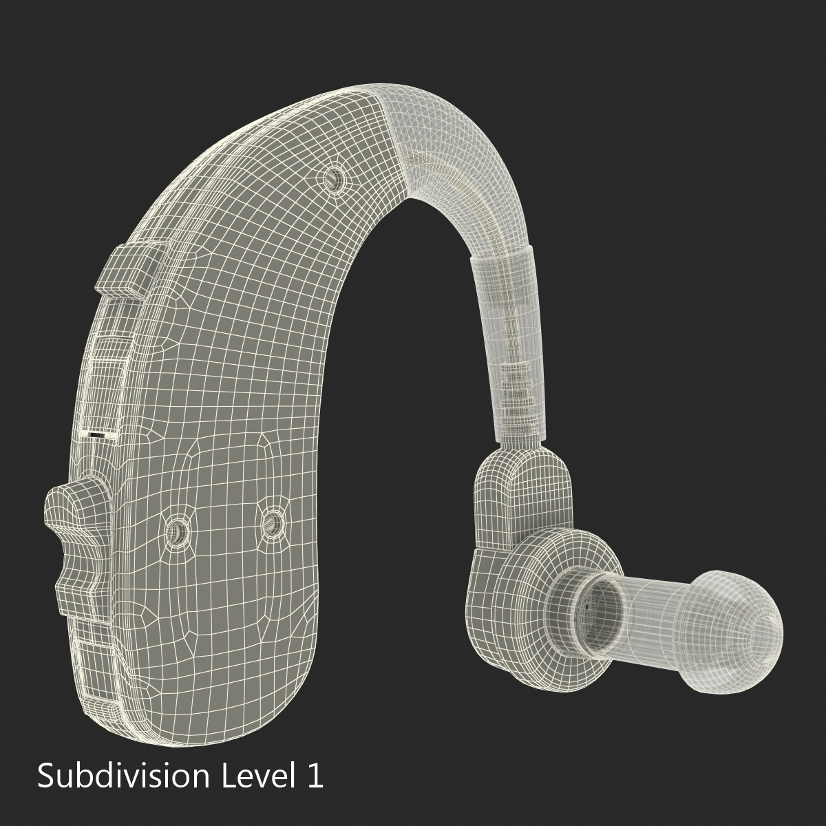 3D Hearing Aid