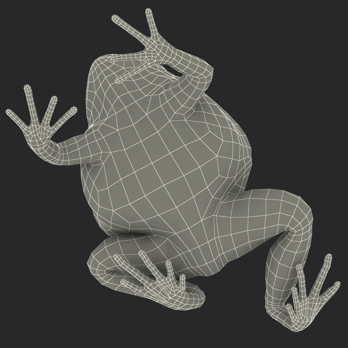 3D Tomato Frog Rigged model