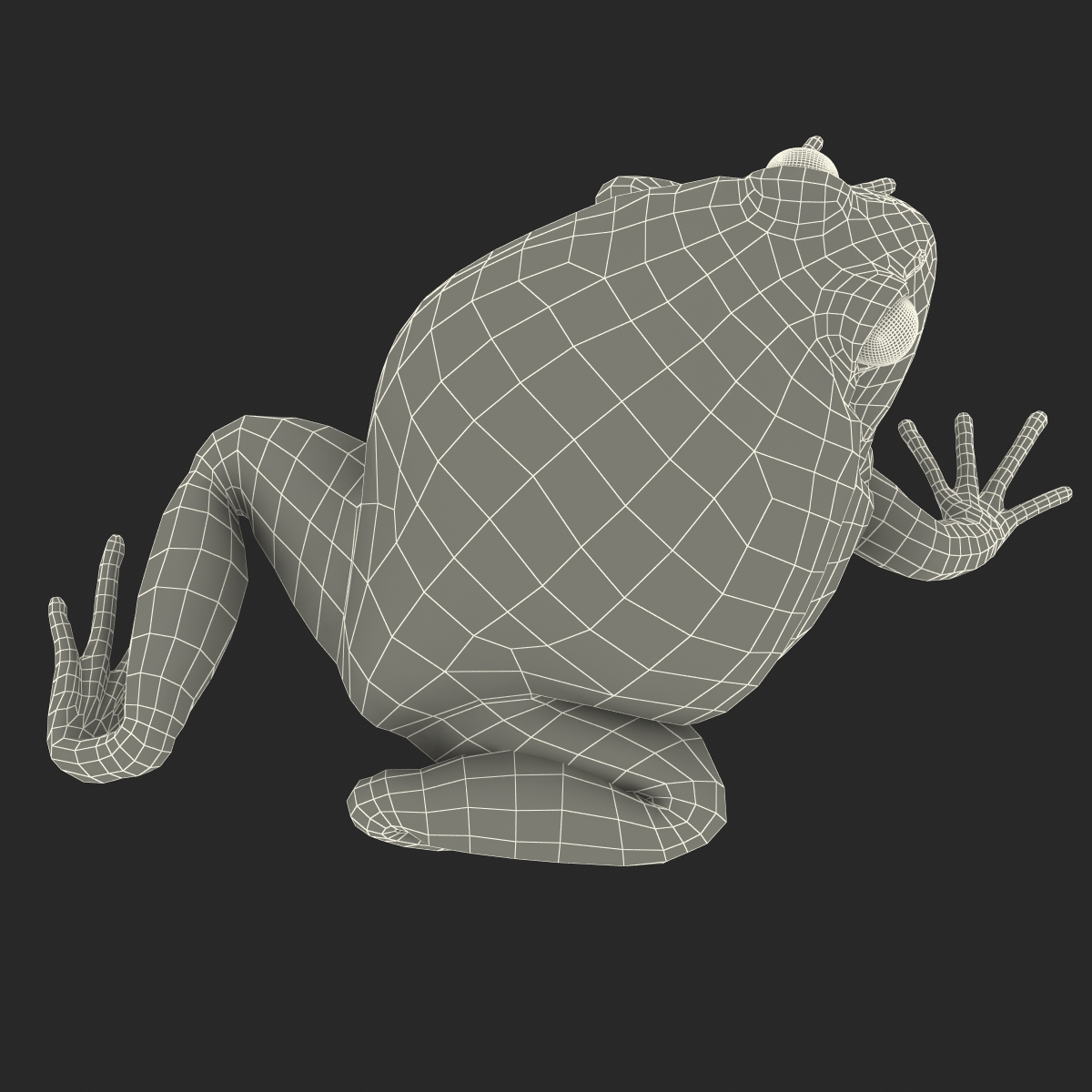 3D Tomato Frog Rigged model