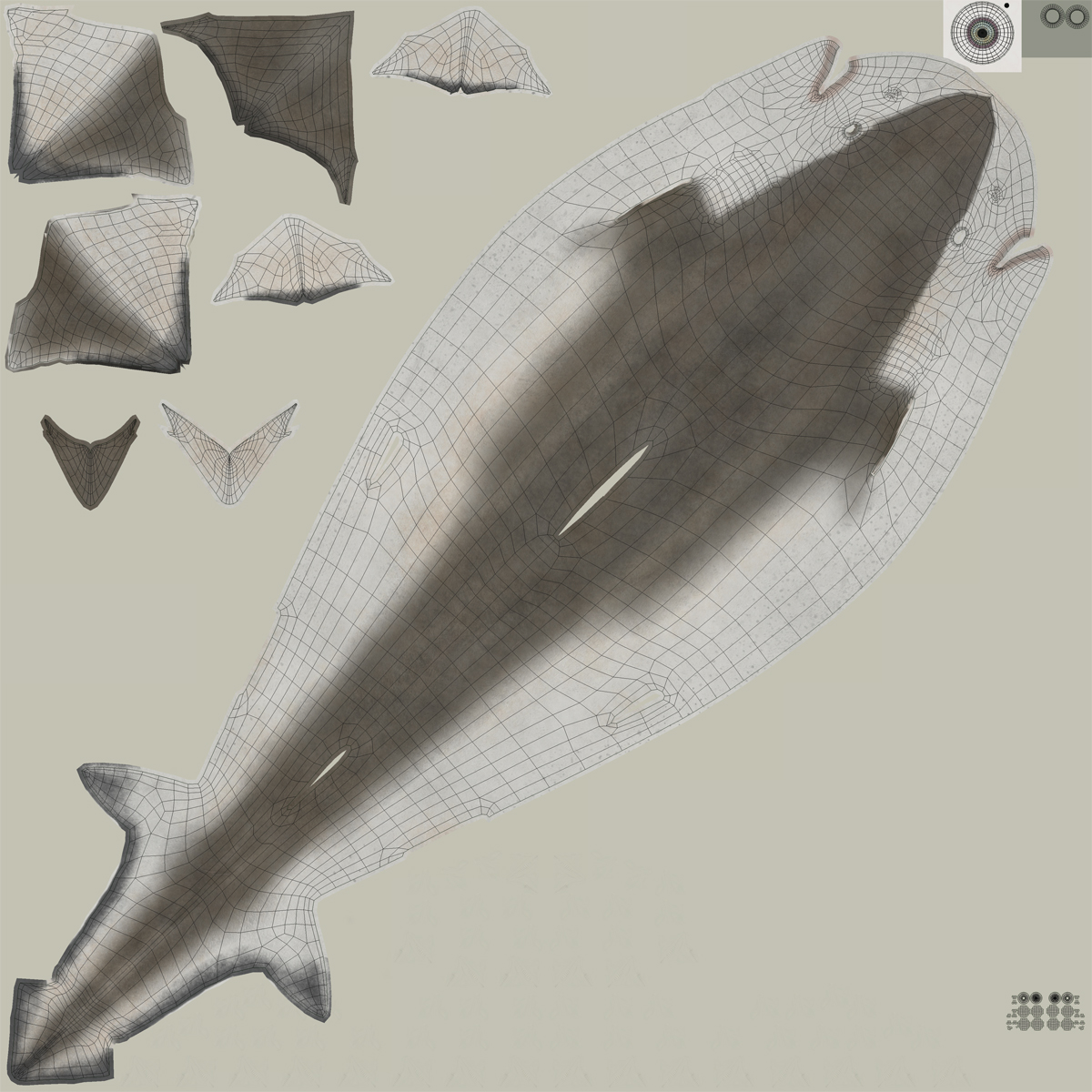 3D model Spadenose Shark