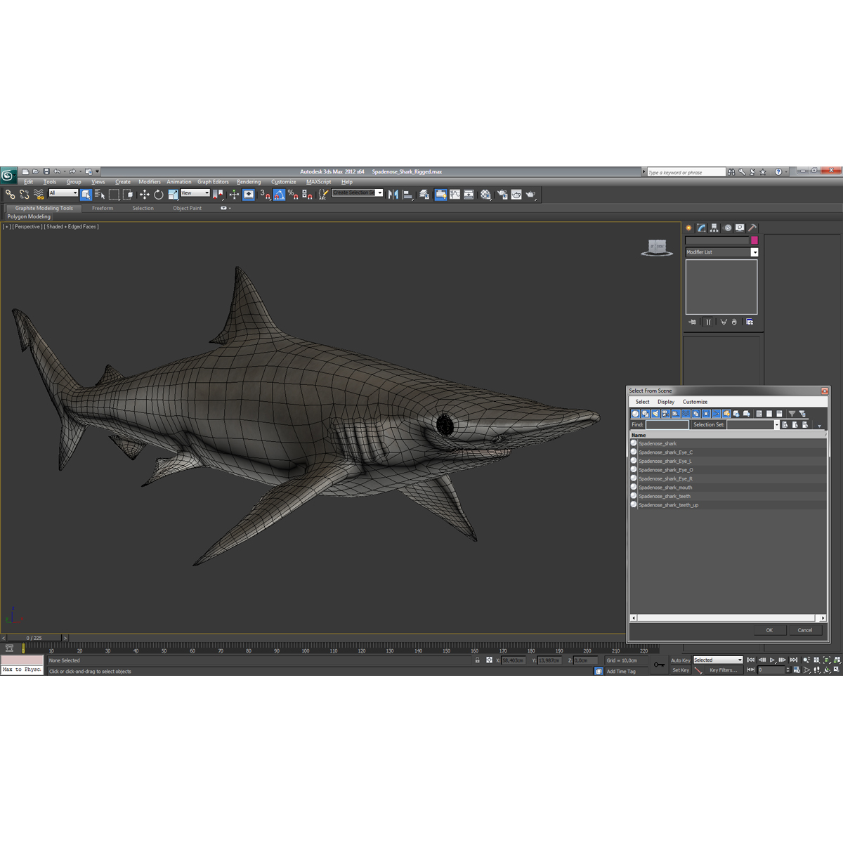 3D model Spadenose Shark