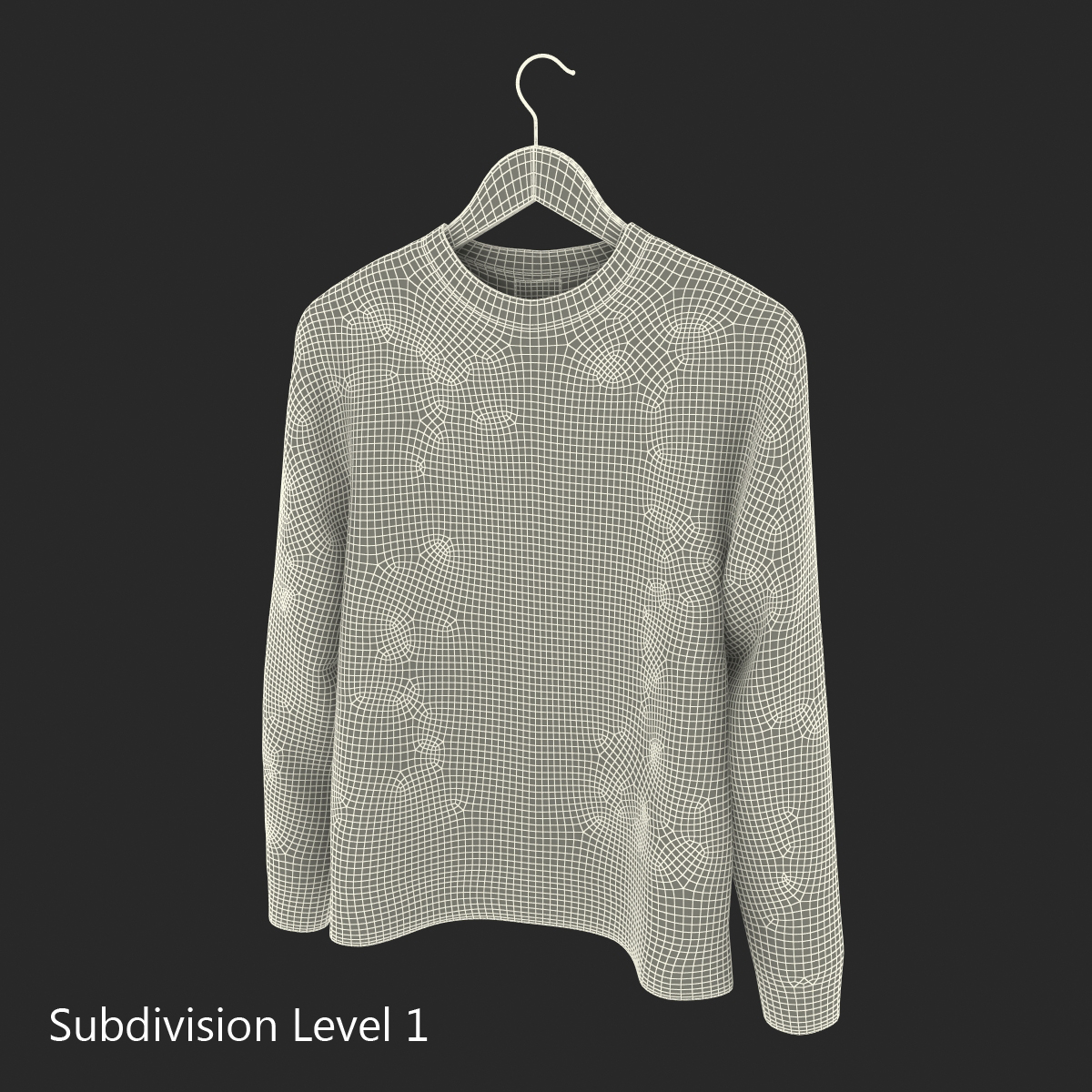 Sweater on Hanger 3D