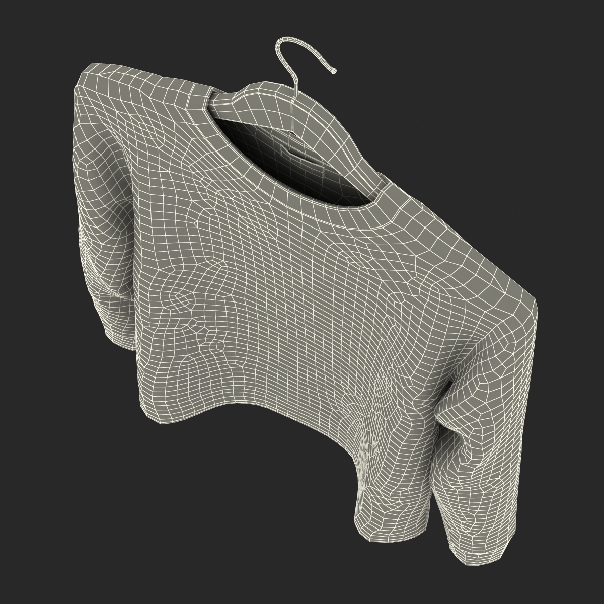 Sweater on Hanger 3D