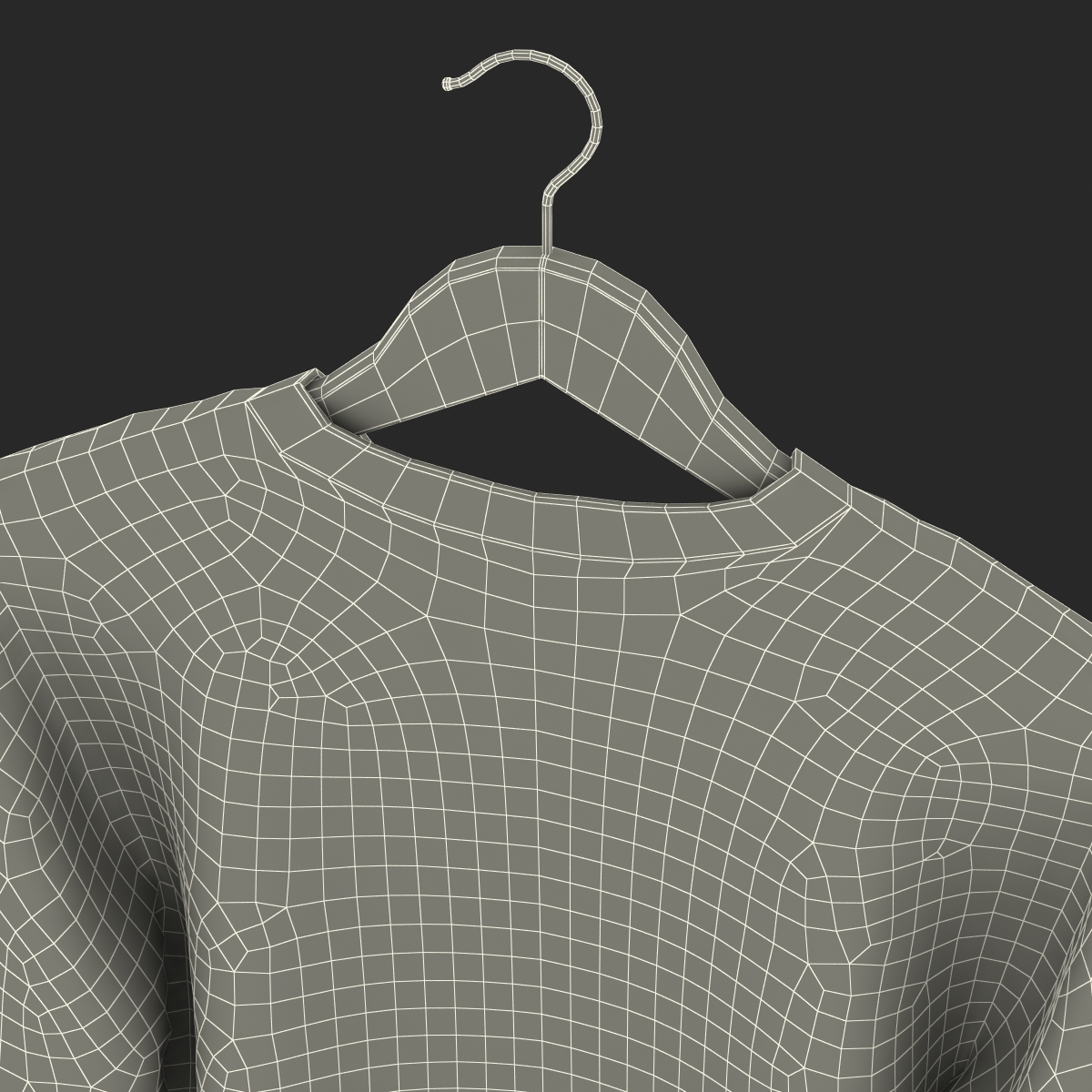 Sweater on Hanger 3D