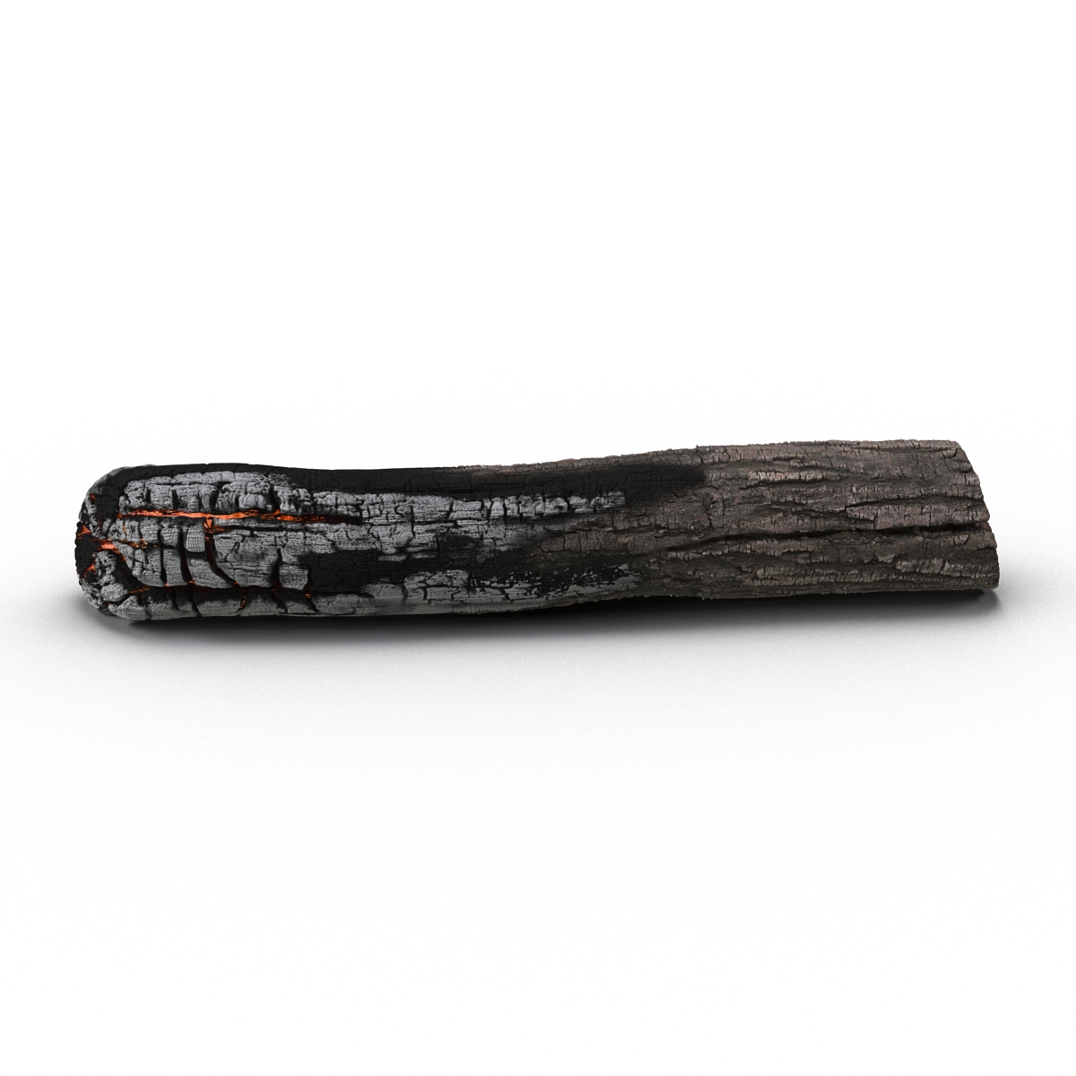 3D Charred Log