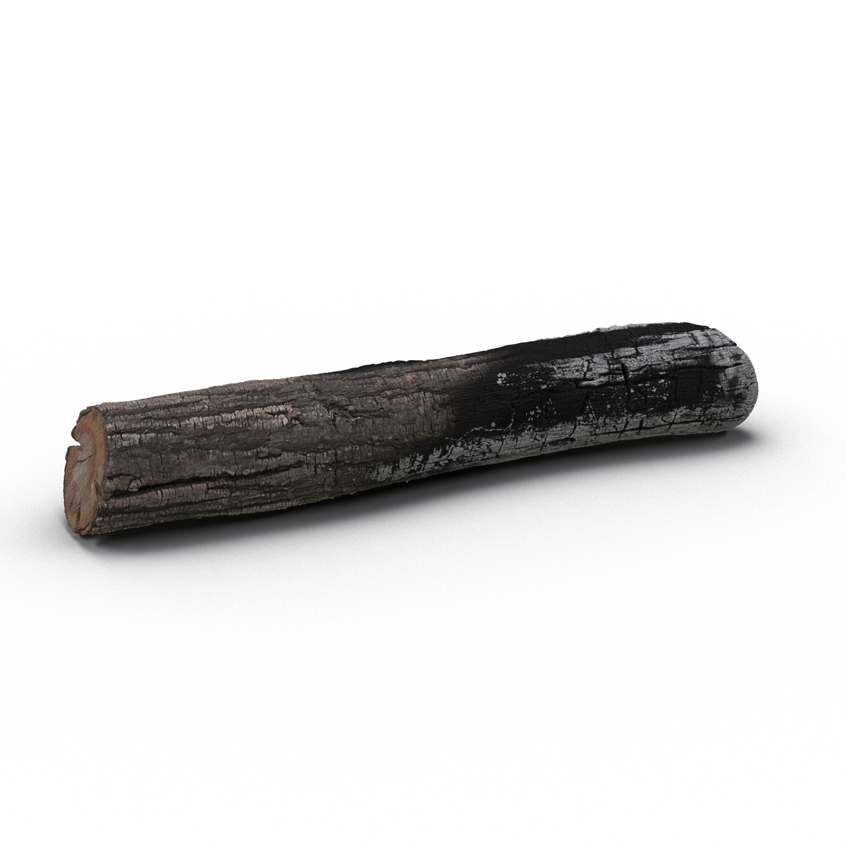 3D Charred Log