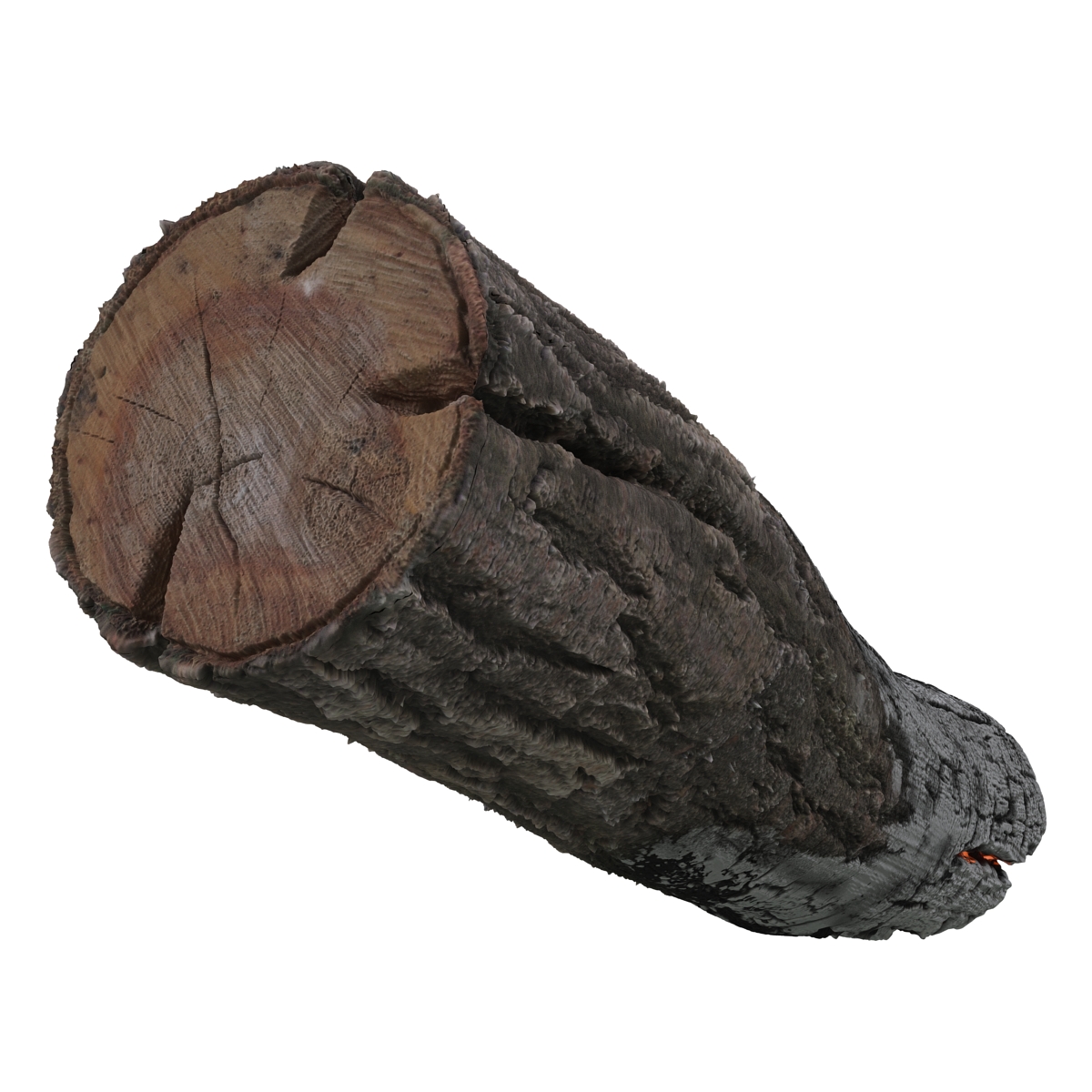 3D Charred Log