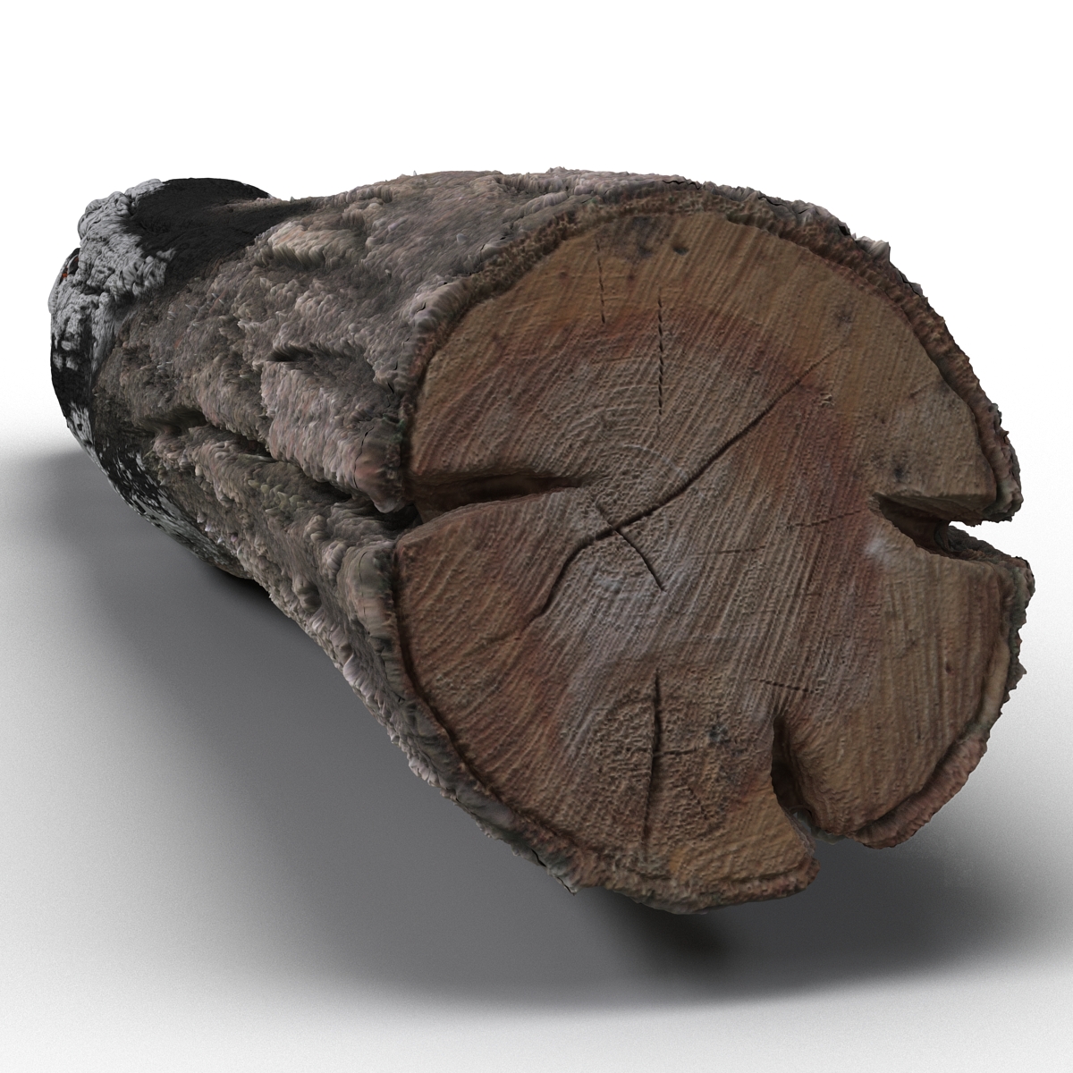 3D Charred Log