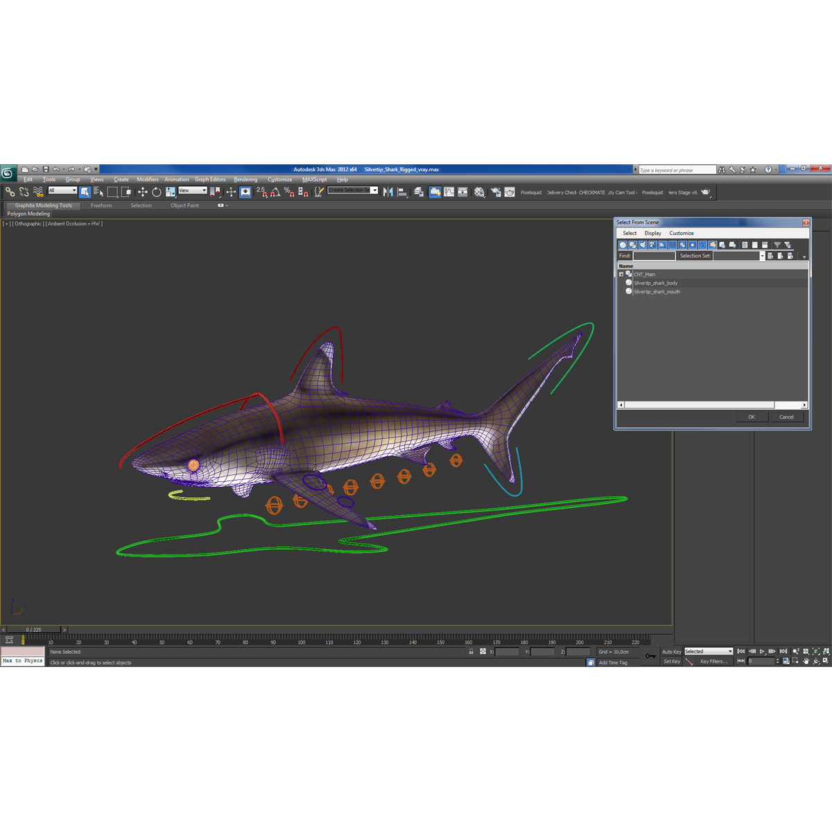 Silvertip Shark Rigged 3D