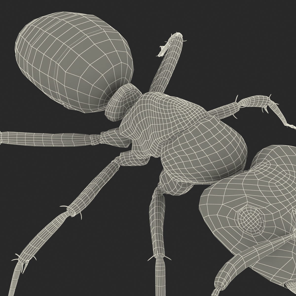 3D Black Ant Rigged