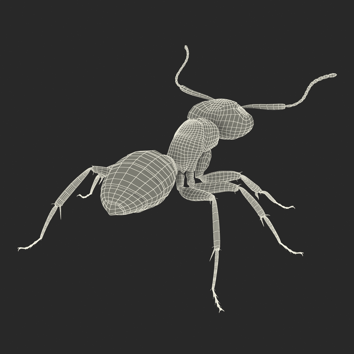 Red Ant Rigged 3D model