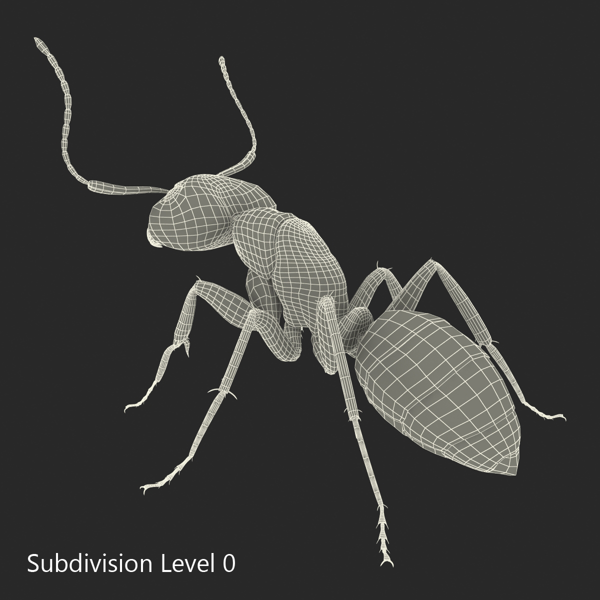 Red Ant Pose 2 3D model