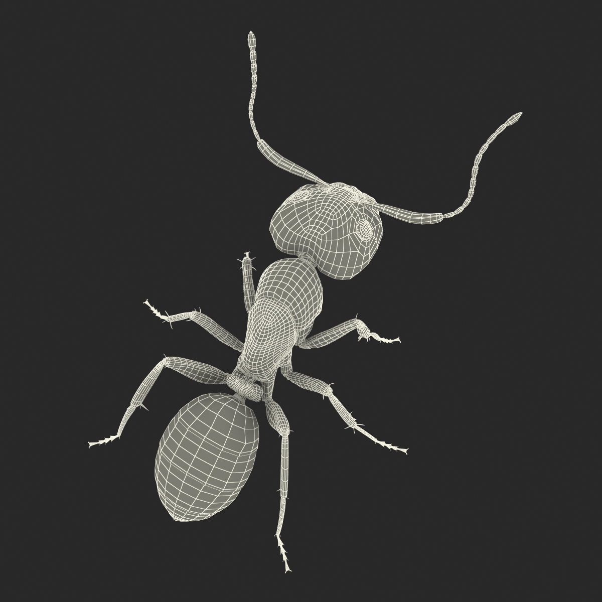 Red Ant Pose 2 3D model