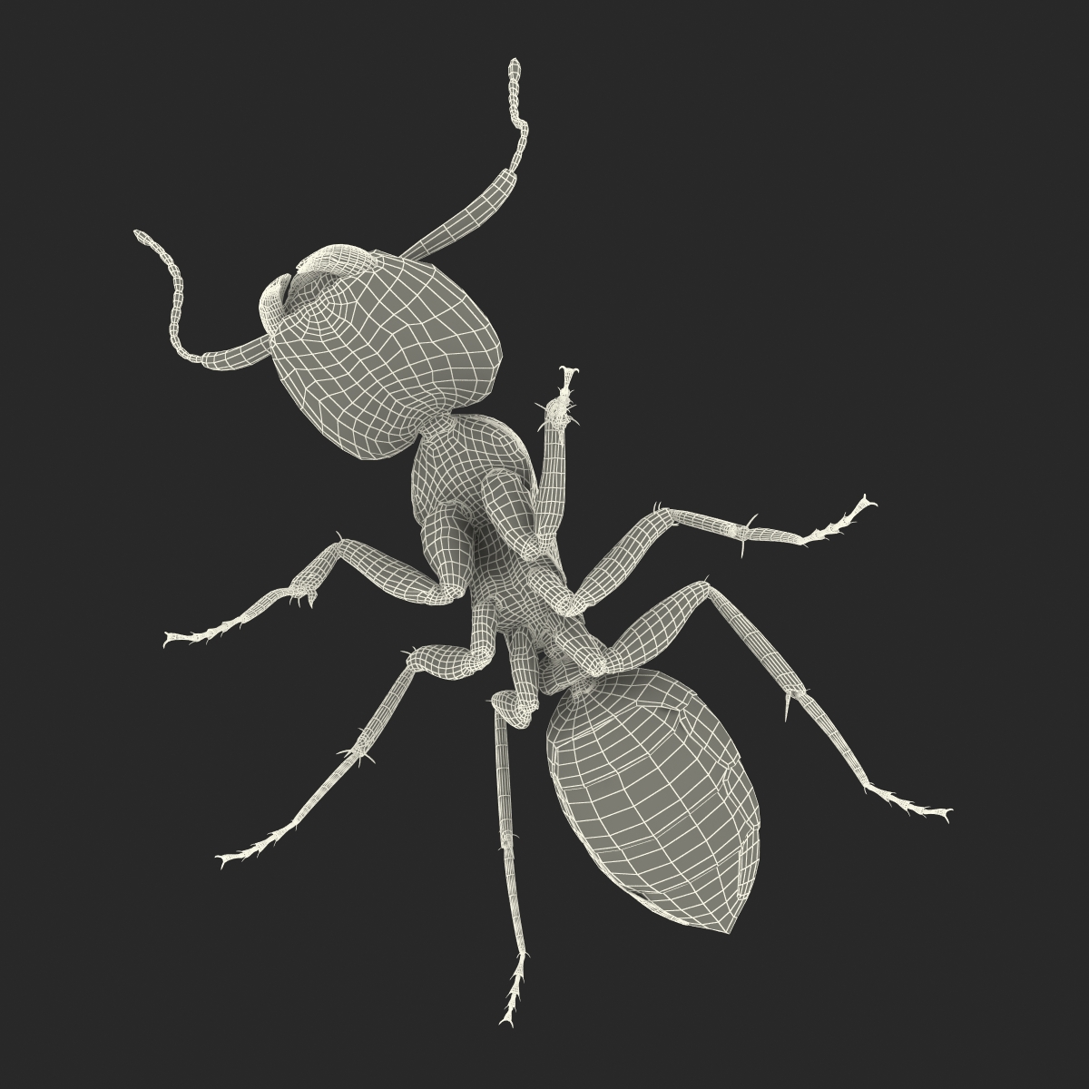 Red Ant Pose 2 3D model