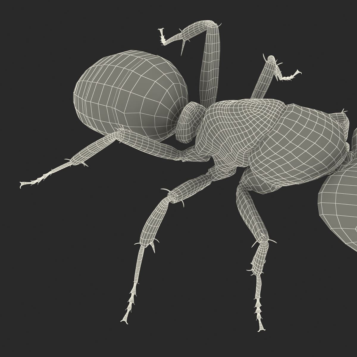 Red Ant Pose 2 3D model