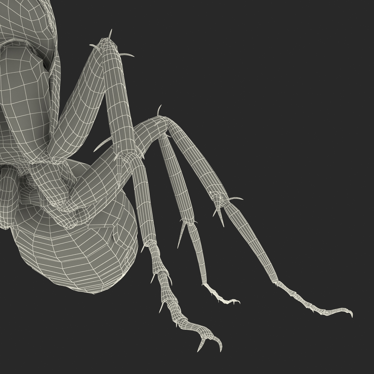 Red Ant Pose 2 3D model