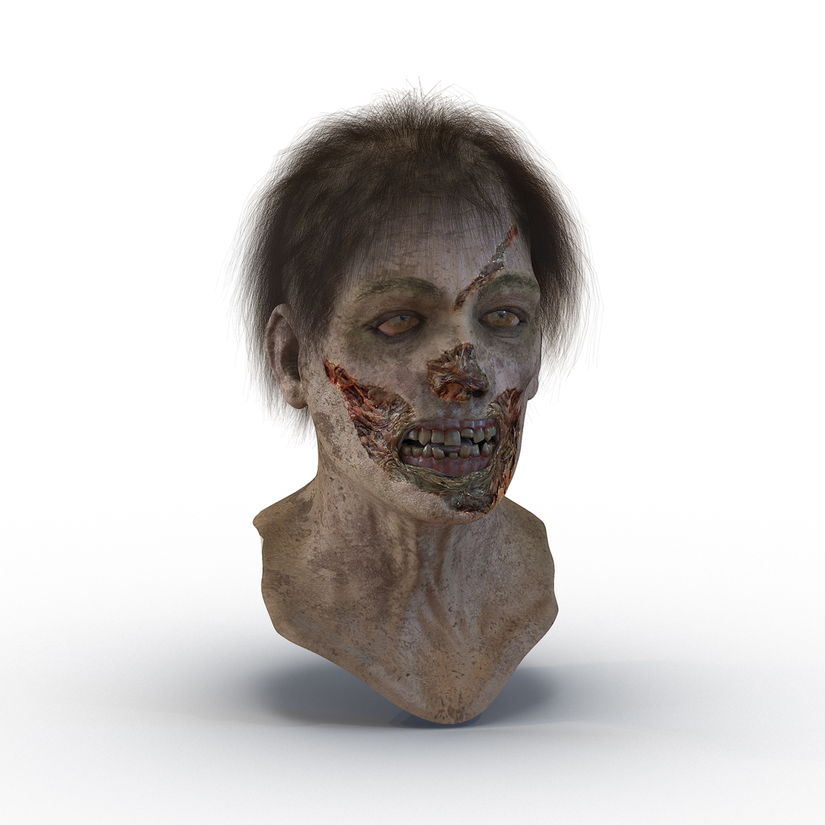 3D Zombie Head with Hair